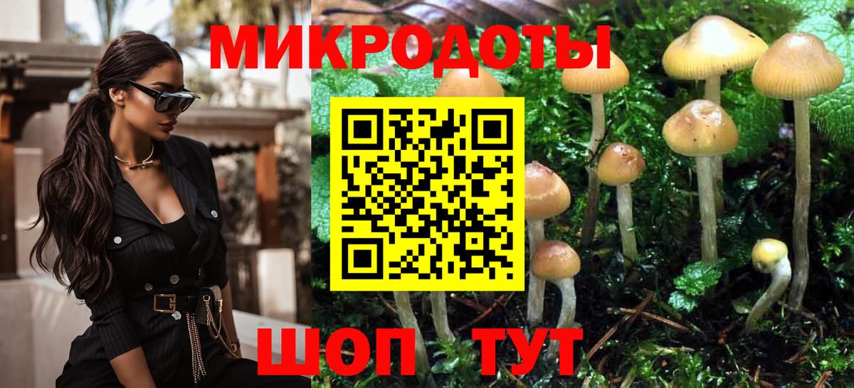 Псилоцибиновые грибы Psilocybine cubensis Чусовой