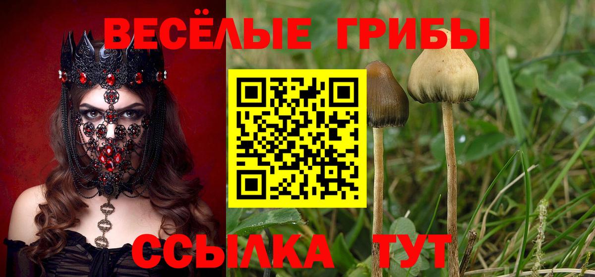 Чусовой  Псилоцибиновые грибы Cubensis  Вход с VPN 